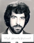 ربیع احمدوند